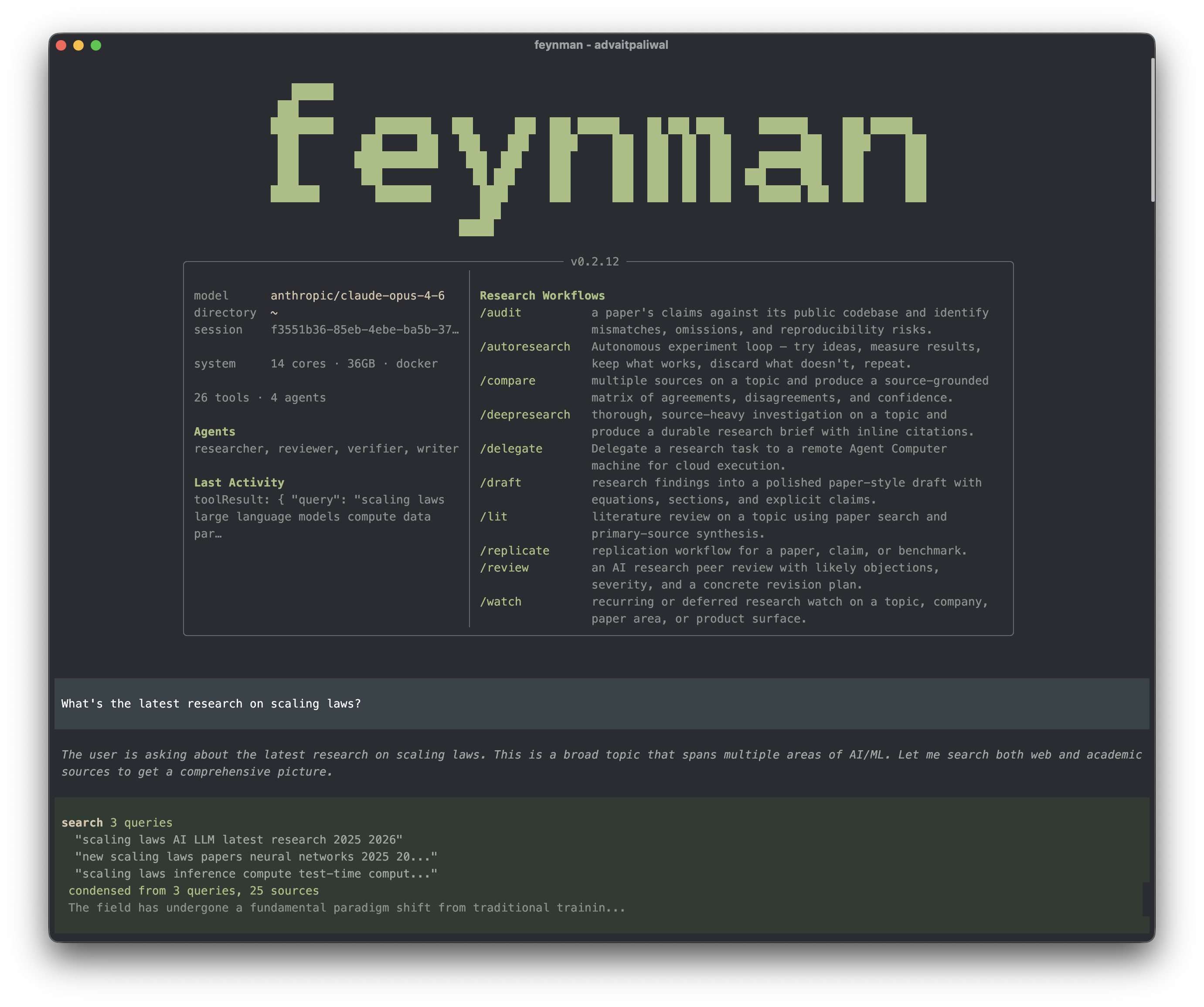 Feynman CLI