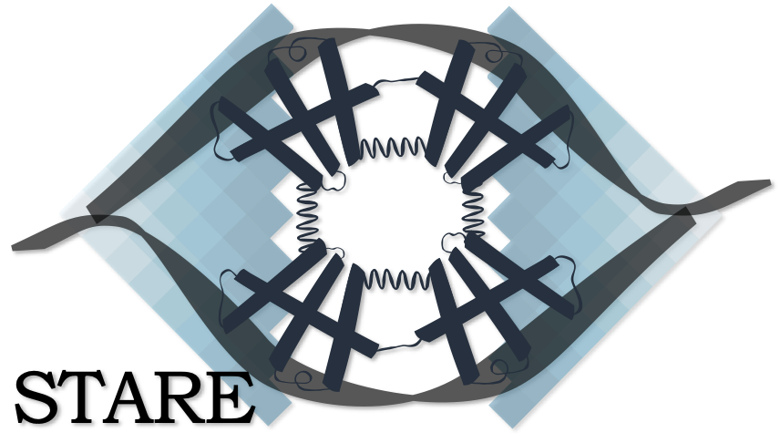 STARE_Logo