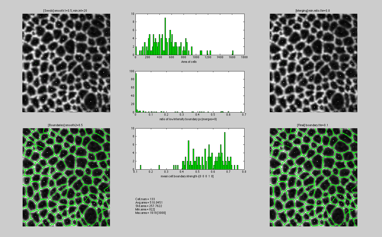 Segmentation feedback