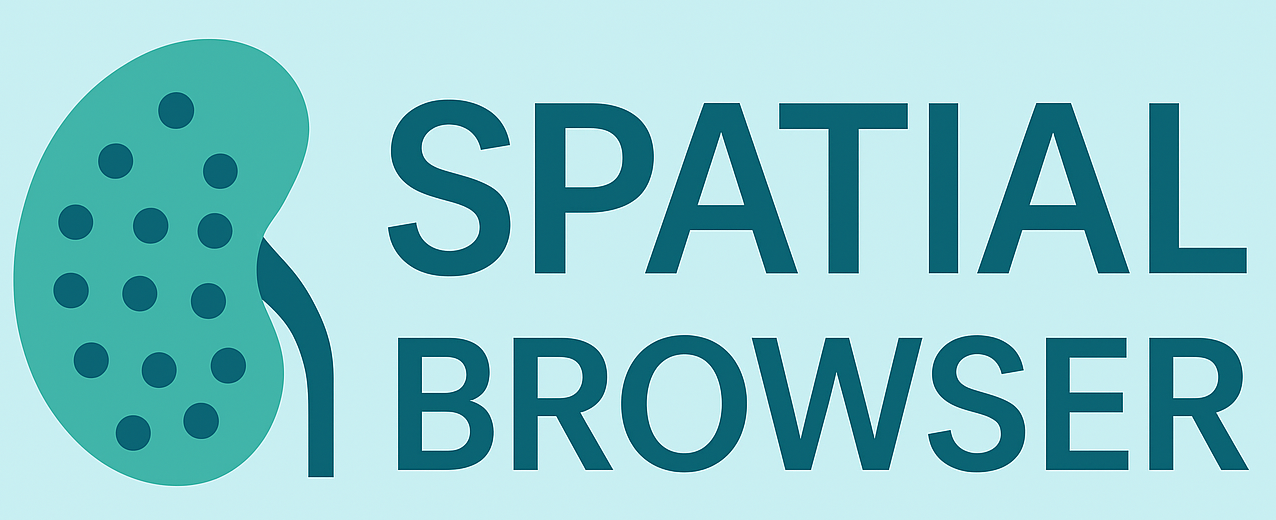 Spatial Browser Banner