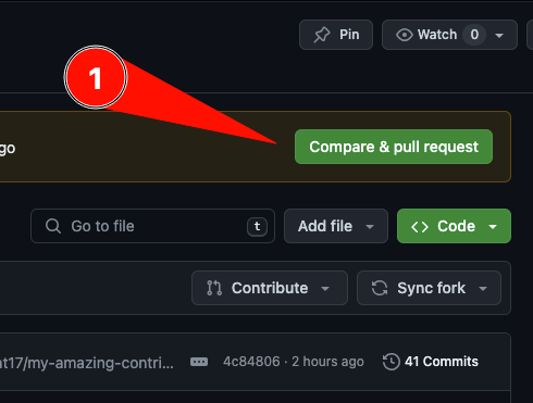 Compare & pull request