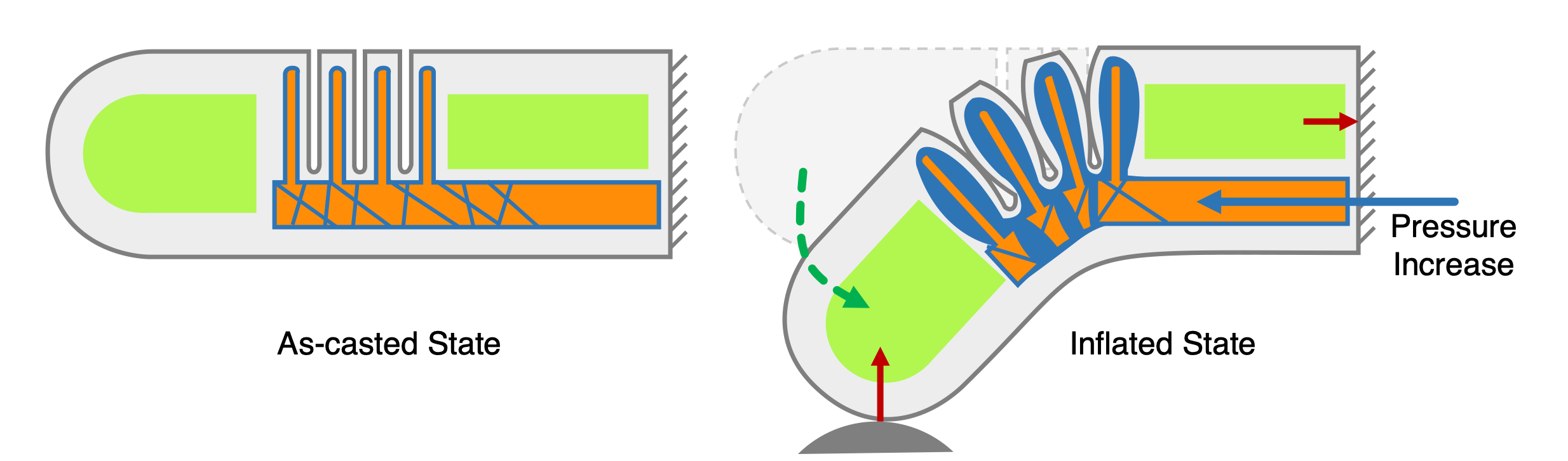 Finger showing force transmission