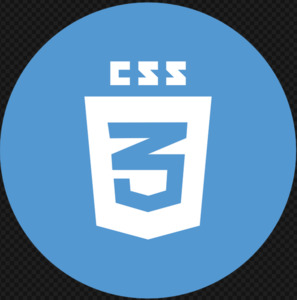 CSS logo