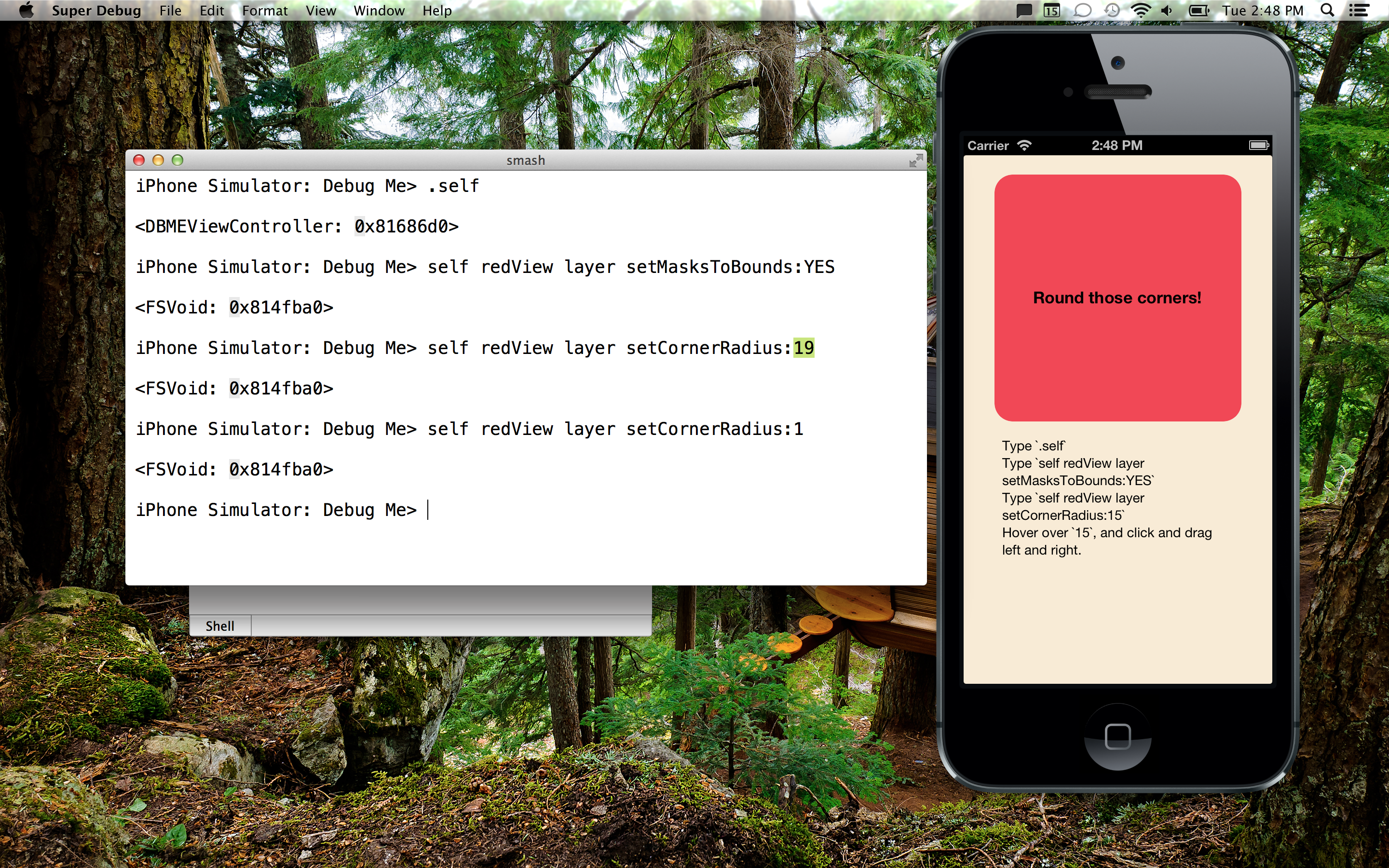 Super Debugger running on a Mac debugging an included iOS app. Super Debugger running on a Mac debugging an included iOS app.