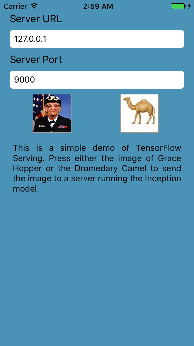 Inception Demo Client alt text
