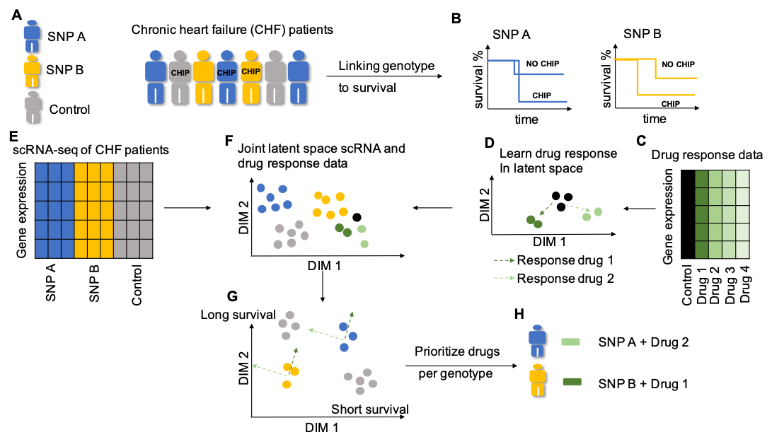 Integrative Machine Learning approaches for gene regulation