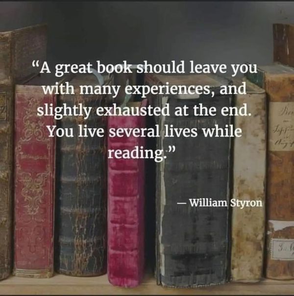 A quote by William Styron about the experiences gained from reading, overlaid on a background of vintage books.