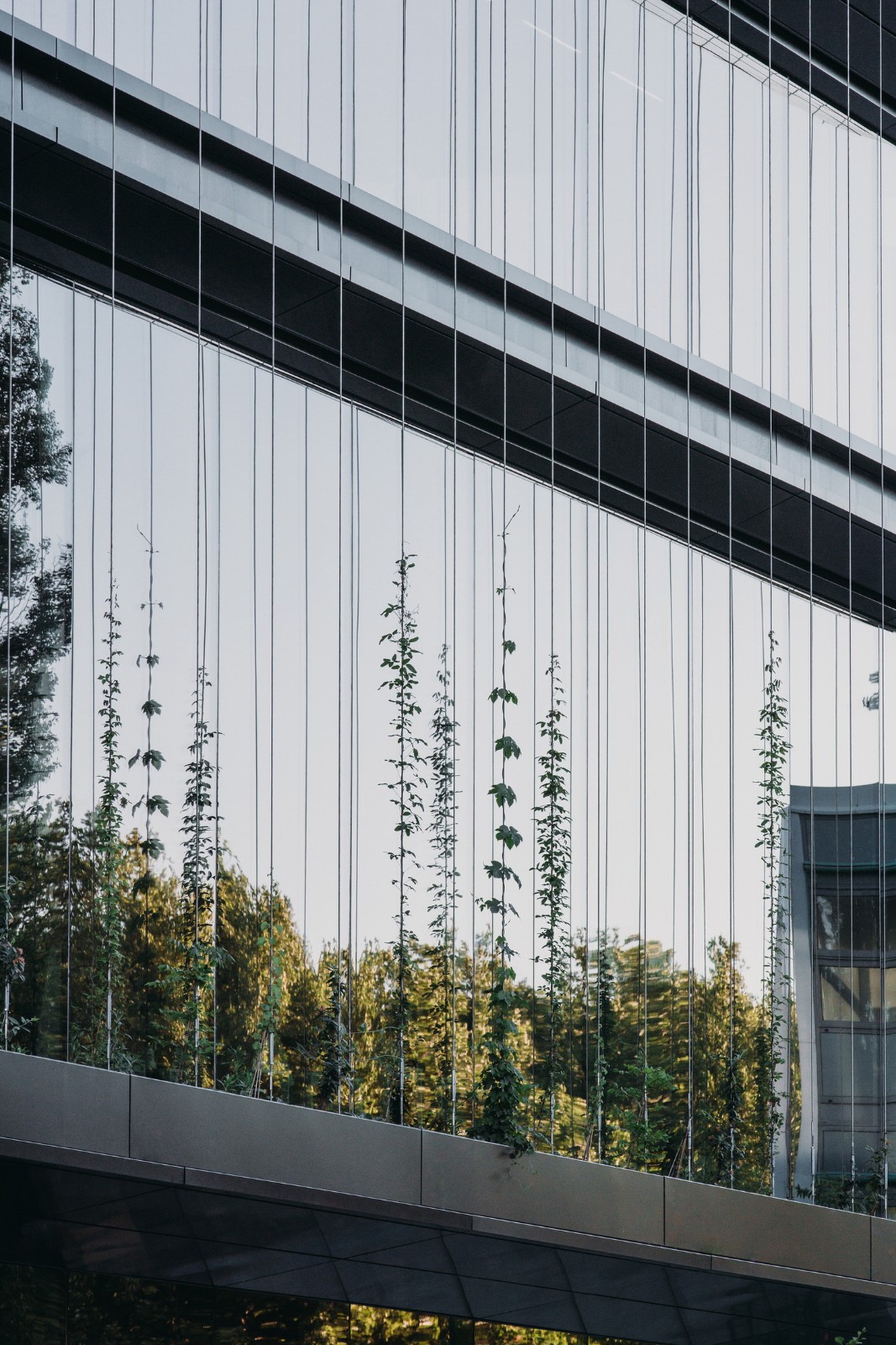 BIM建筑|荷兰代尔夫特理工大学新型能源再生跨学科教学楼 / UNStudio BIM建筑|荷兰代尔夫特理工大学新型能源再生跨学科教学楼 / UNStudio