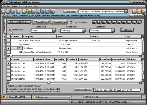 NativeWinds Database Manager 2.0 Screenshot