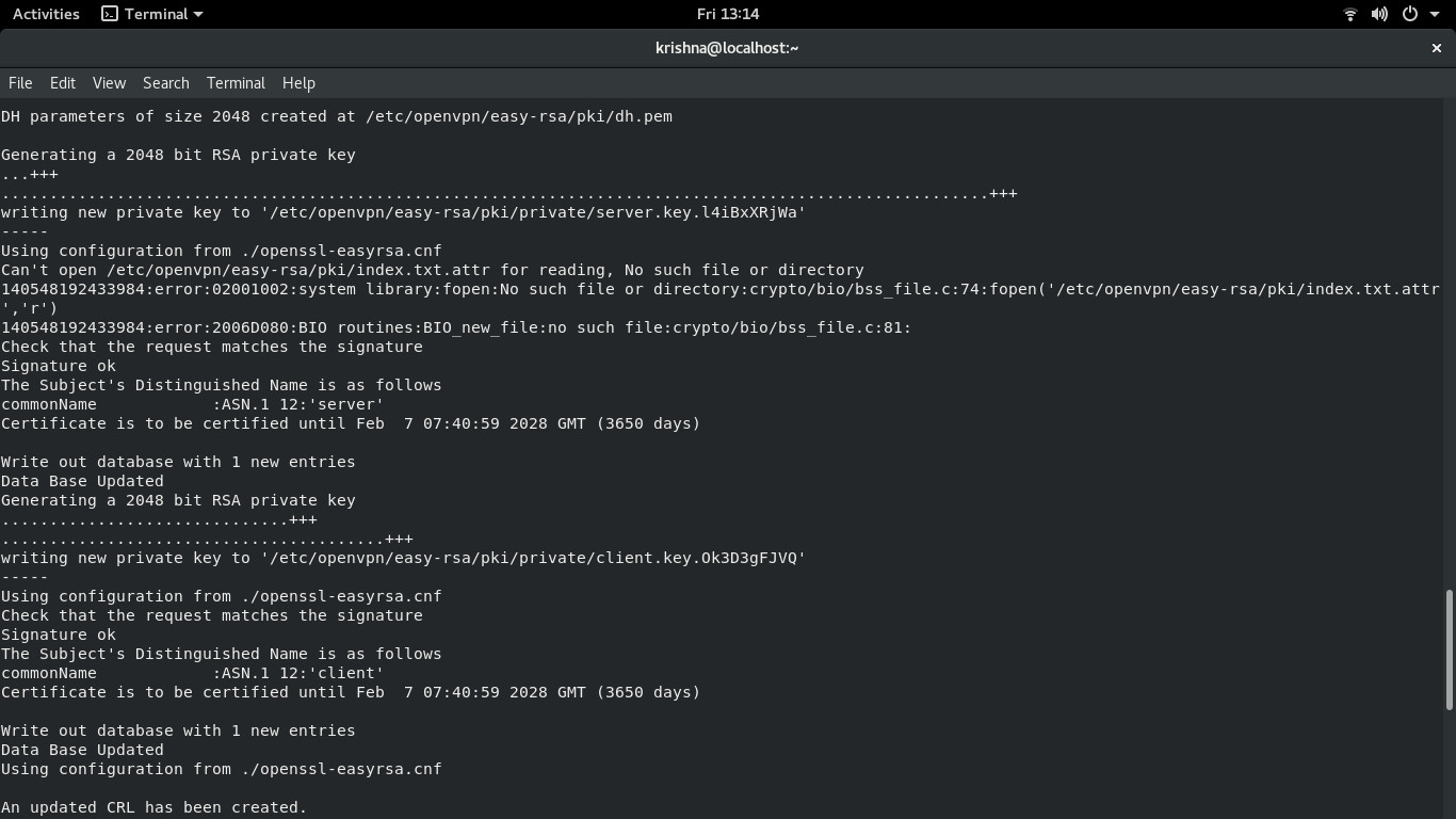 OpenVPN Setup - Running OpenVPN installation script