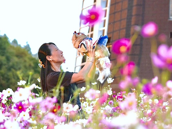 ゆん(ゆかり)ちゃん / チワワ / 7歳