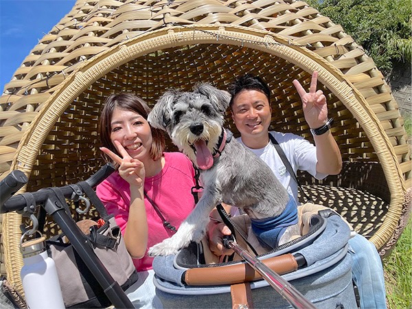 バフィー(くう)ちゃん / ミニチュアシュナウザー / 2歳