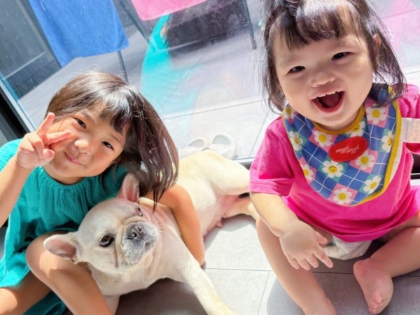 ビビ(にこ)ちゃん / フレンチ・ブルドッグ / 4歳