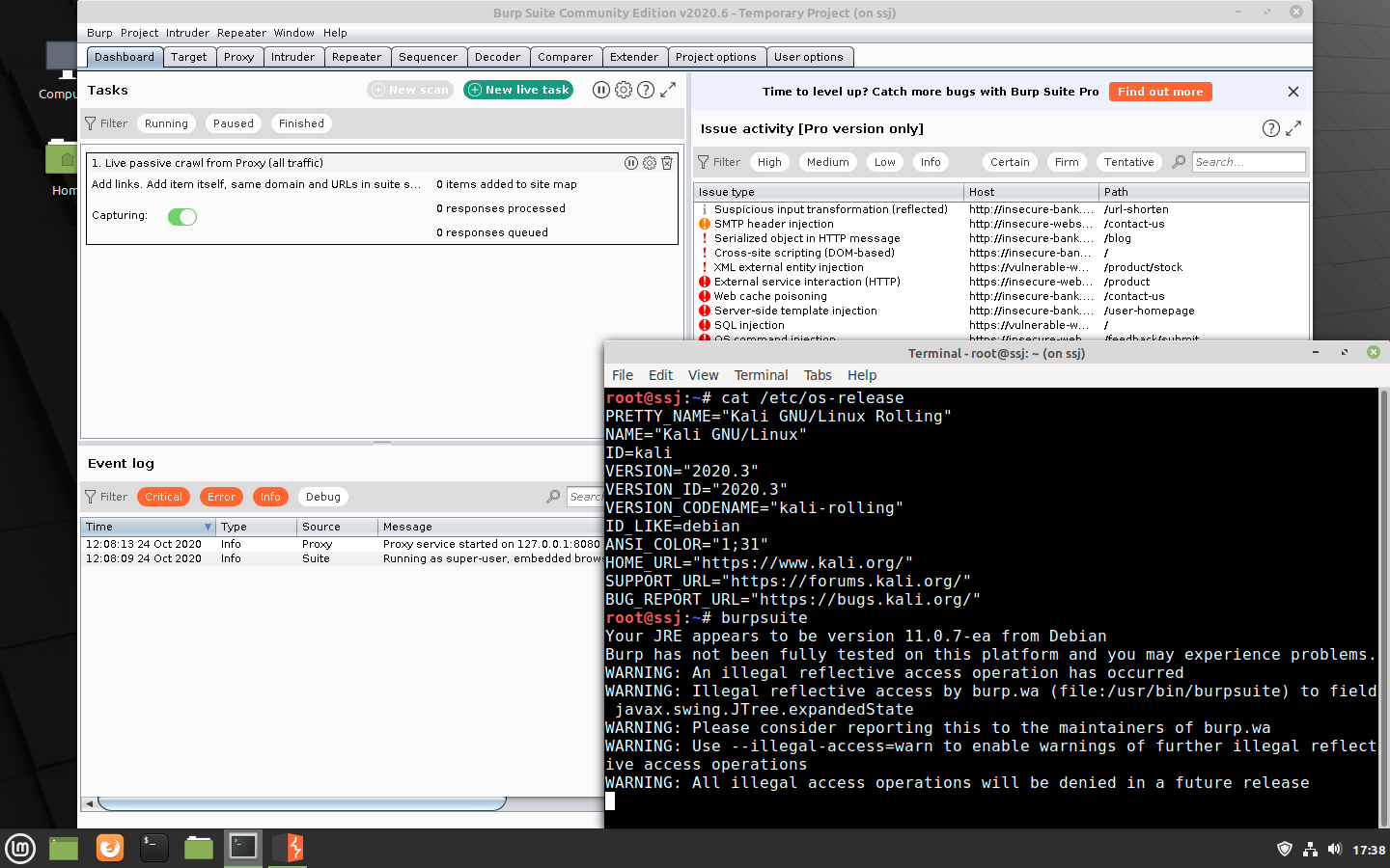 Mint Burpsuite