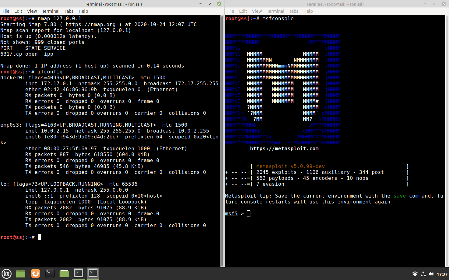 Mint Metasploit & Nmap