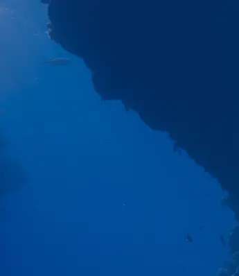 The Dangers of Only Focusing on Bottom of Funnel Prospects