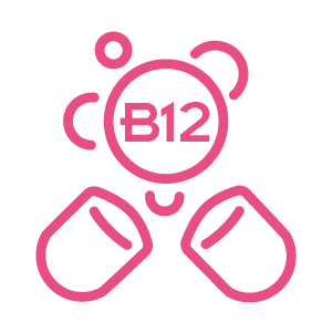 Garantiza una alta concentración de vitamina B12 disponible