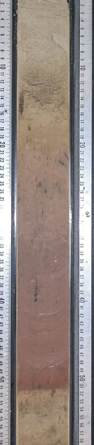 core Sediment core spanning the Paleocene-Eocene green-house warming event