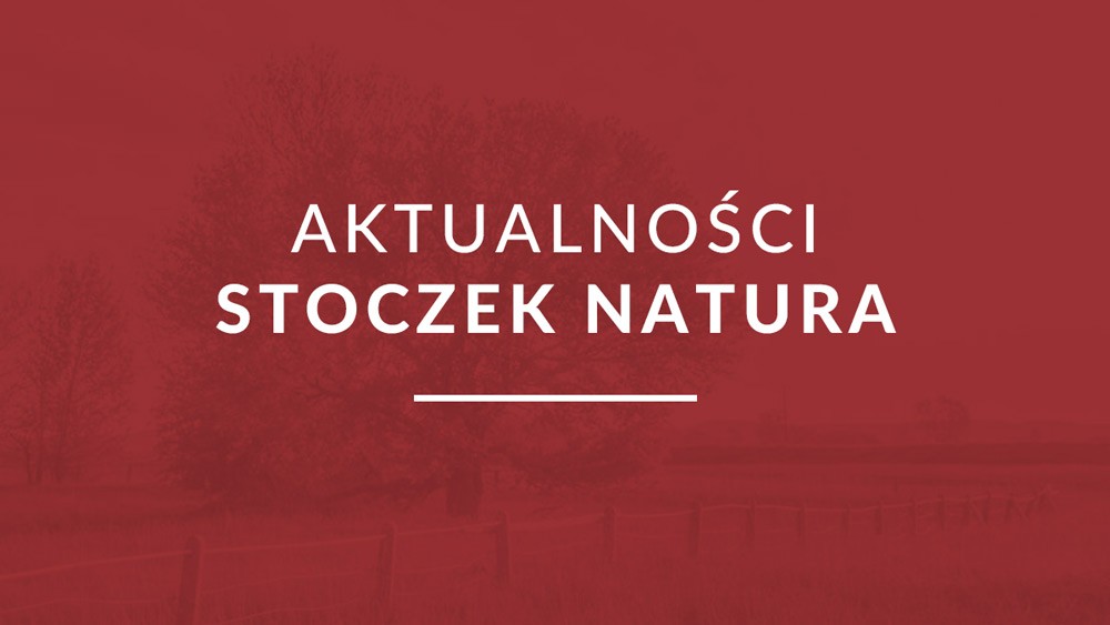 stoczeknatura_new