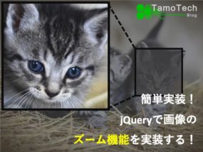 ズーム機能サムネイル