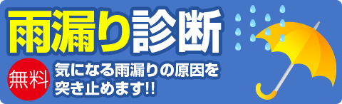 雨漏り診断