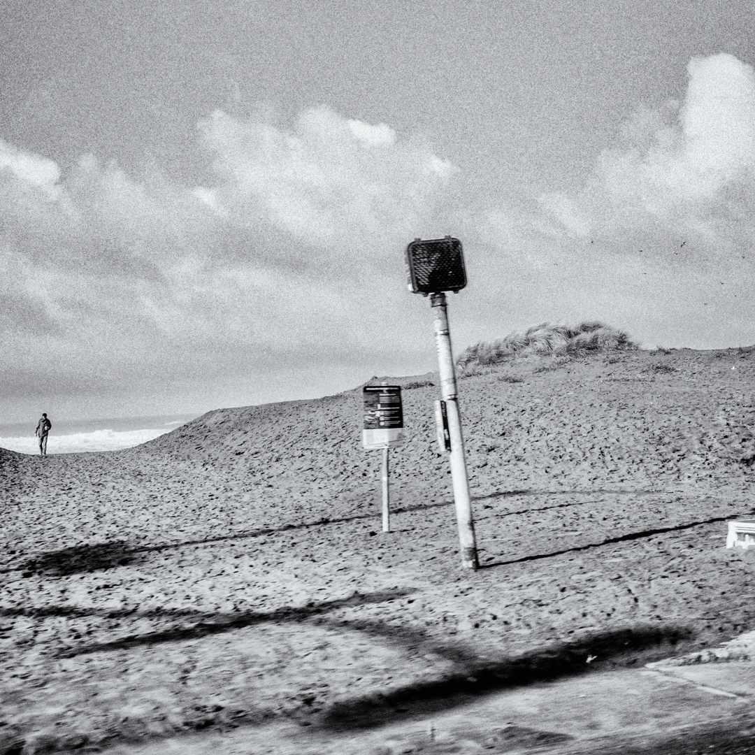 See You Space Monkey . . .